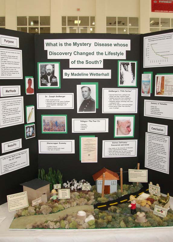 What are some social studies fair ideas?